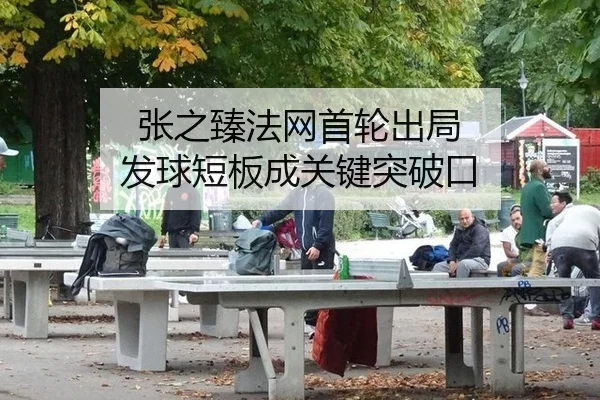 张之臻法网首轮出局 发球短板成关键突破口